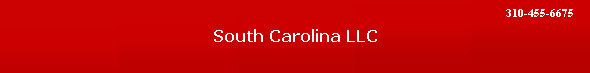 South Carolina LLC