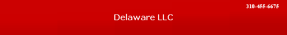 Delaware LLC