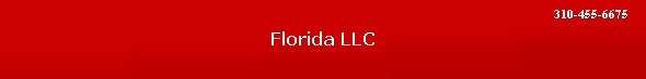 Florida LLC