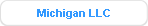Michigan LLC