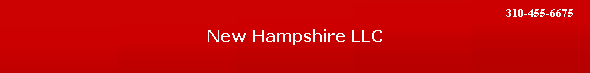 New Hampshire LLC