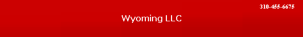 Wyoming LLC